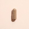 Plant Therapy Herbal Supplement - Moringa, 120 Capsules