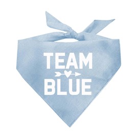 Team Pink & Team Blue Set | 100% Cotton Adjustable Triangle | Made in USA | Pregnancy Announcement Photoshoot Prop | New Baby | Gender Reveal | Baby Pink & Baby Blue 2 Pack One Size (210)