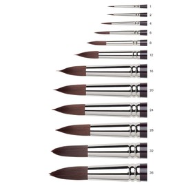 Winsor & Newton Brush, Wood, 6