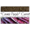 “Cosmic Purple” Carrot Seeds – Fast-Growing Carrot – Harvest in