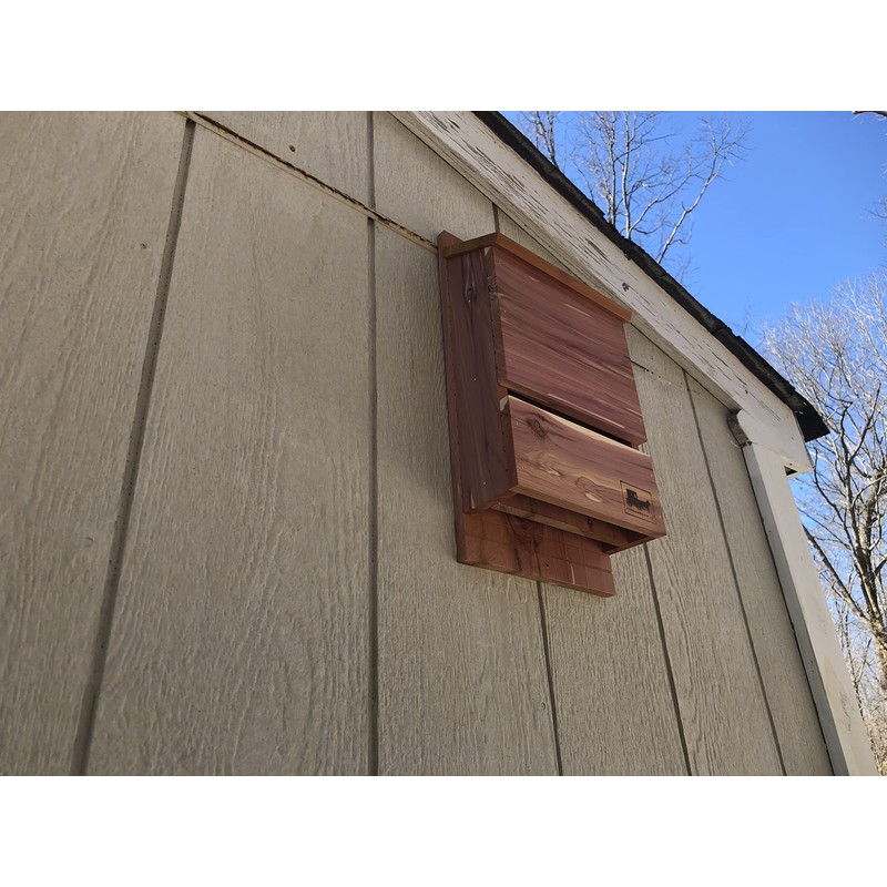 Vundahboah Amish Goods Outdoor Bat Box Shelter with Large Double