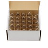 Creative Hobbies Incandescent Replacement Light Bulbs for Wax Warmers, Salt