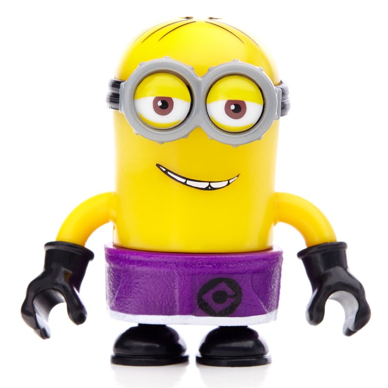 Mega Bloks Despicable Me Beach Party Set