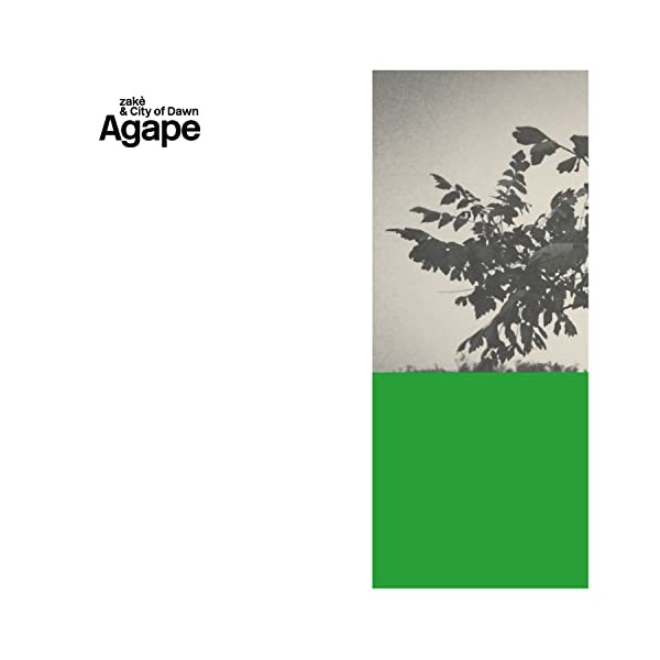 Agape [VINYL] by Azure Vista [Vinyl]