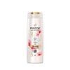 Pantene Miracles Colour Gloss Shampoo 400 ML