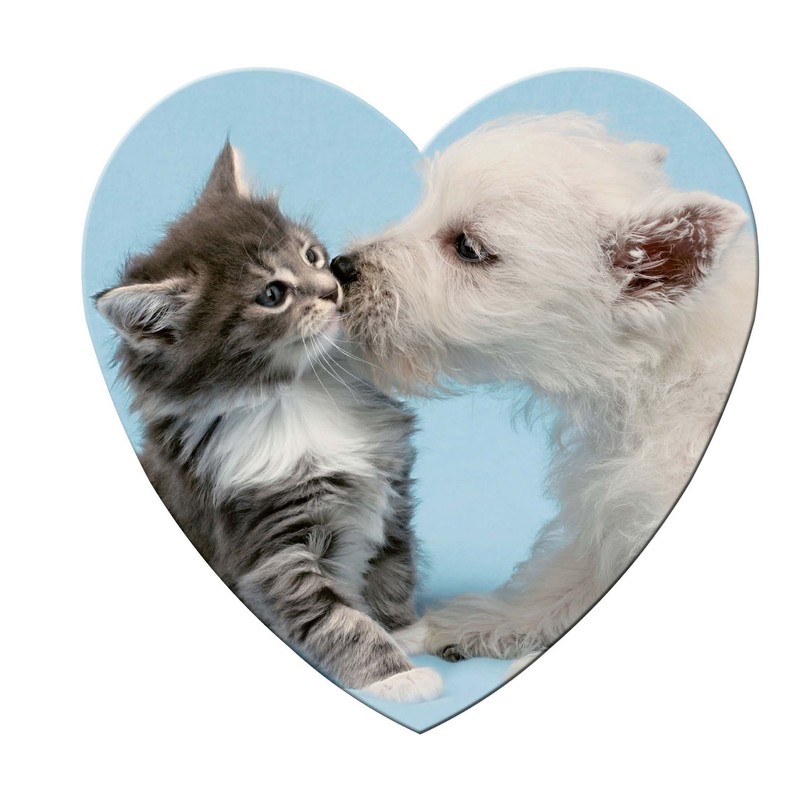 Ravensburger 15195 577 Pieces – Kiss Heart