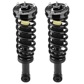 Front Strut Shock Assembly w/Coil Spring for Ford F-150 2004-2008, Lincoln Mark LT 2006-2008, RWD, Replace 171362, Left & Right, 2PCS