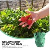 CIYODO 2pcs Strawberry Growing Bag Plant Grow Bags Non-Woven Planters