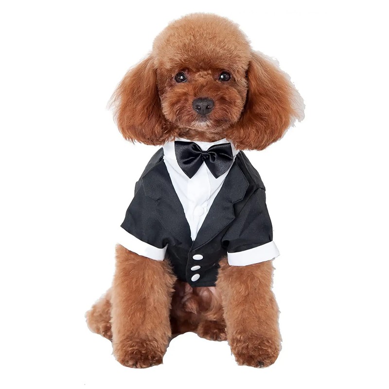 GabeFish Pets Wedding Jackets Suit for Dogs with Bow Tie