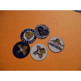 Unbranded Pre Cut One Inch Bottle Cap Images FLORIDA PANTHERS Free Shipping - photo, 25 images
