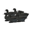 Over-Size Coots (1/2 Dozen)