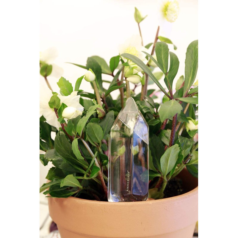 Kikkerland Hand Blown Glass Self Watering Stake for Potted Plants
