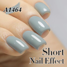 Double Rhythm 15ML Gel Polish Pure Sheer Same Color Same Bottle Soak Off Gel Polish Art Manicure Salon DIY at Home for Women (Milky Gray-A1464)