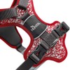 HUNTER Harness Divo Reflect 45-56/S