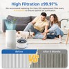 2 Pack Vista 200 Replacement Filter Compatible with LEVOIT Vista