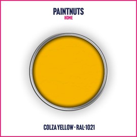 PaintNuts UPVC Window & Door Paint - RAL-1021 - COLZA YELLOW Gloss 250ml Tin