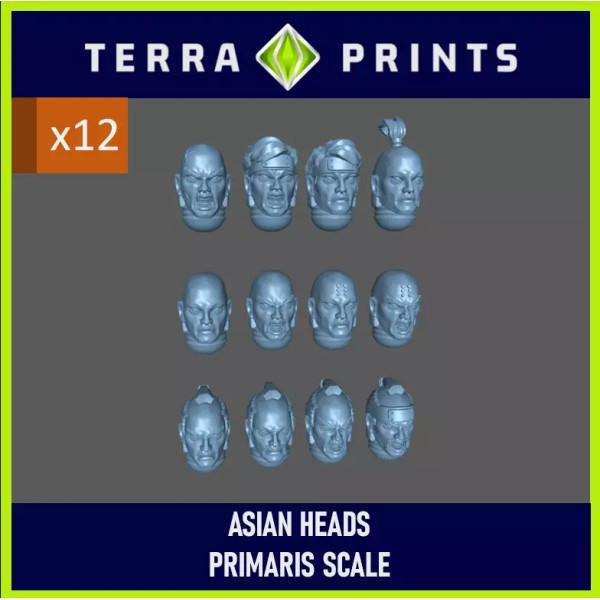 Grim Skull ASIAN HEADS - White Scars (12x) compatable with