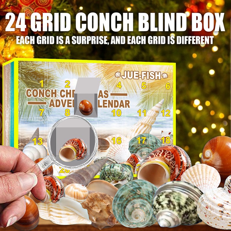 Christmas Countdown Advent Calendar 24 Pcs Shell Toys 2022 Conch