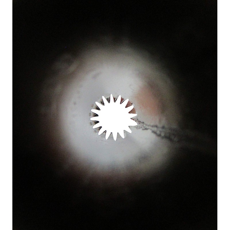 Decoration Tip Chrysanthemum, 16 Pieces, No. 198