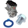 Micro Traders Car Engine Oil Drain Plug 17 mm Head