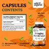 Wild & Organic Stinging Nettle Leaf Capsules 1000 mg -