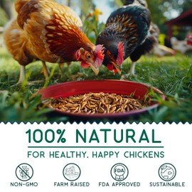 Value Grubs 10 lbs - Better Than Dried Mealworms for Chickens - Non-GMO - 75X More Calcium Than Meal Worms - Poultry Feed Molting Supplement