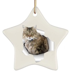 Funny Ragamuffin Cat Tabby Color Coming Out of Cracked Wall Gifts 2024 Christmas Tree Ornaments Ceramic Star
