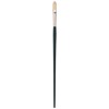 Winsor & Newton Size 6 Winton Hog Filbert Brush