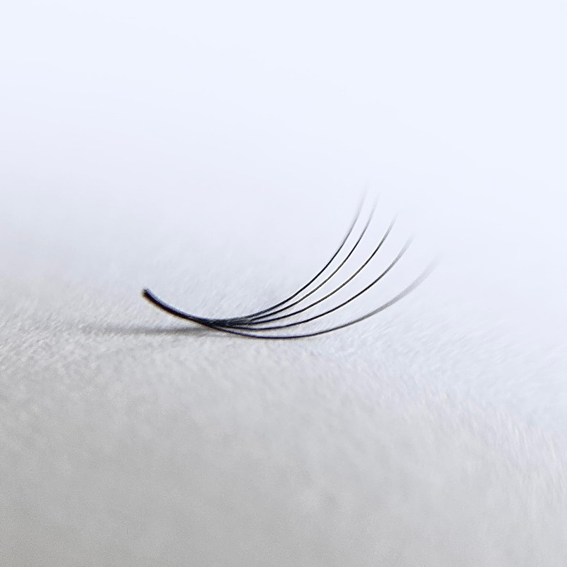 Ready-to-Use 5D Volume Eyelash Fans (Pack of 500) D-Curl CC