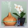 Maple Holistics Relaxing Essential Oil Blends for Diffuser - Uplift