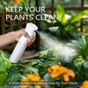 FLAIROSOL - The Original, Plant Mister Spray Bottle for Indoor
