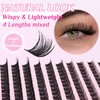 SLSXNL Lash Clusters Natural Wispy 9-14MM D Curl Eyelash Clusters