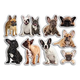 A5 Sticker Sheet Frenchie Vinyl Stickers - Dogs Puppy Bulldog Pets Scrapbooking Travel Decoration Label Friend Girls Boys Aesthetic #80805
