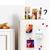 Ant Mag Strong Rare Earth Magnetic Push Pins for Fridge