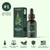 BetterLungs Mullein Leaf & Chlorophyll Extract Drops For Lung Detox