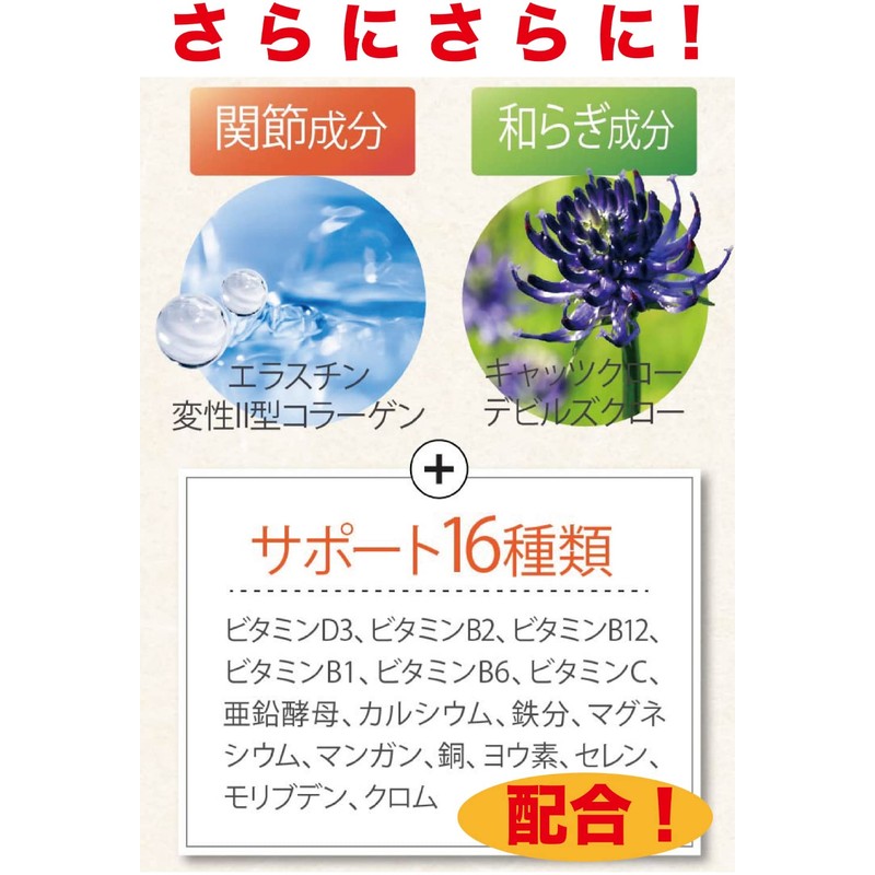 Sakura Forest Knee Joint Supplement, Ayumi, Proteoglycan, Supports Knee Bending,