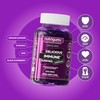 Immune Support Complex Gummy | Elderberry Extract 2000mg, Vitamin C