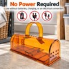 Reusable Mouse Trap Cage for Home & Garden – Plastic
