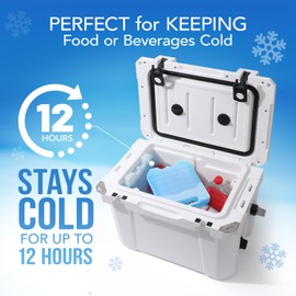 Jumbo Reusable Ice Packs for Cooler with Handle (2 Pack) Long Lasting Coolness, BPA Free, Freezer Packs for Extended Cooling | Cooler Ice Packs for Camping, Fishing, Hiking, Beach