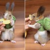 Cute Squirrel Costumes Turtle Shell Kawaii Squirrel Clothes for Small