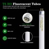 F24T5/865 6 Pack 22 Inch T5 Fluorescent Grow Light Bulbs,