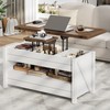 ONBRILL Farmhouse Lift Top Coffee Table with 2 Storage Drawers,