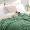 RUIKASI Fleece Throw Blanket for Sofa - Green Single Fluffy