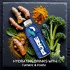 Pure Fuel Hydration Drinks Tropical Torrent - Plant-Based Healthy Electrolyte