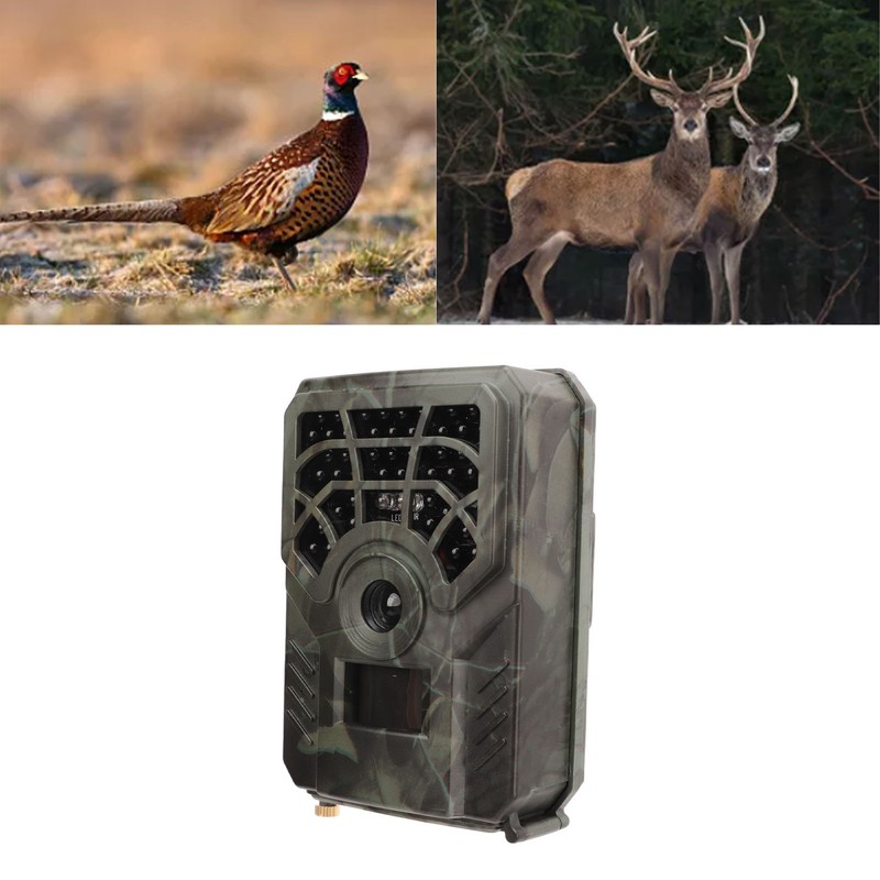 Hunting Camera Mini Outdoor Wildlife Trail Camera HD Infrared IP56