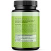 MAV Nutrition Enzimas Digestivas con Probióticos, 60 Cápsulas