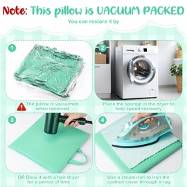 Suzile 12 Pcs 12'' Square Floor Cushions for Kids Classroom Flexible Floor Seating Elementary with Handles Classroom Carpet Cushions for Adults Toddlers Daycare Preschool School(Mint Green)