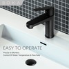 SOKA Brass Bathroom Faucet Matte Black with Pop-up Sink Drain