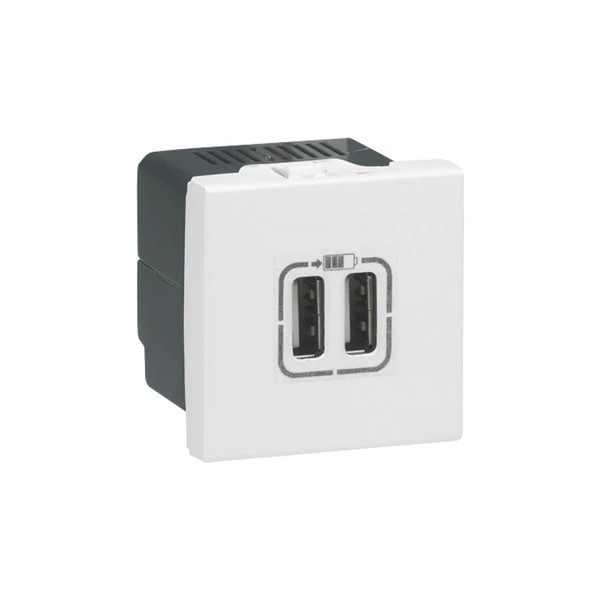 Legrand Mosaic 077594 – Mosaic 2 x USB 2 m