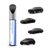 PARTS4EV 1G0 Smoky Granite Mica Touch Up Paint Compatible with